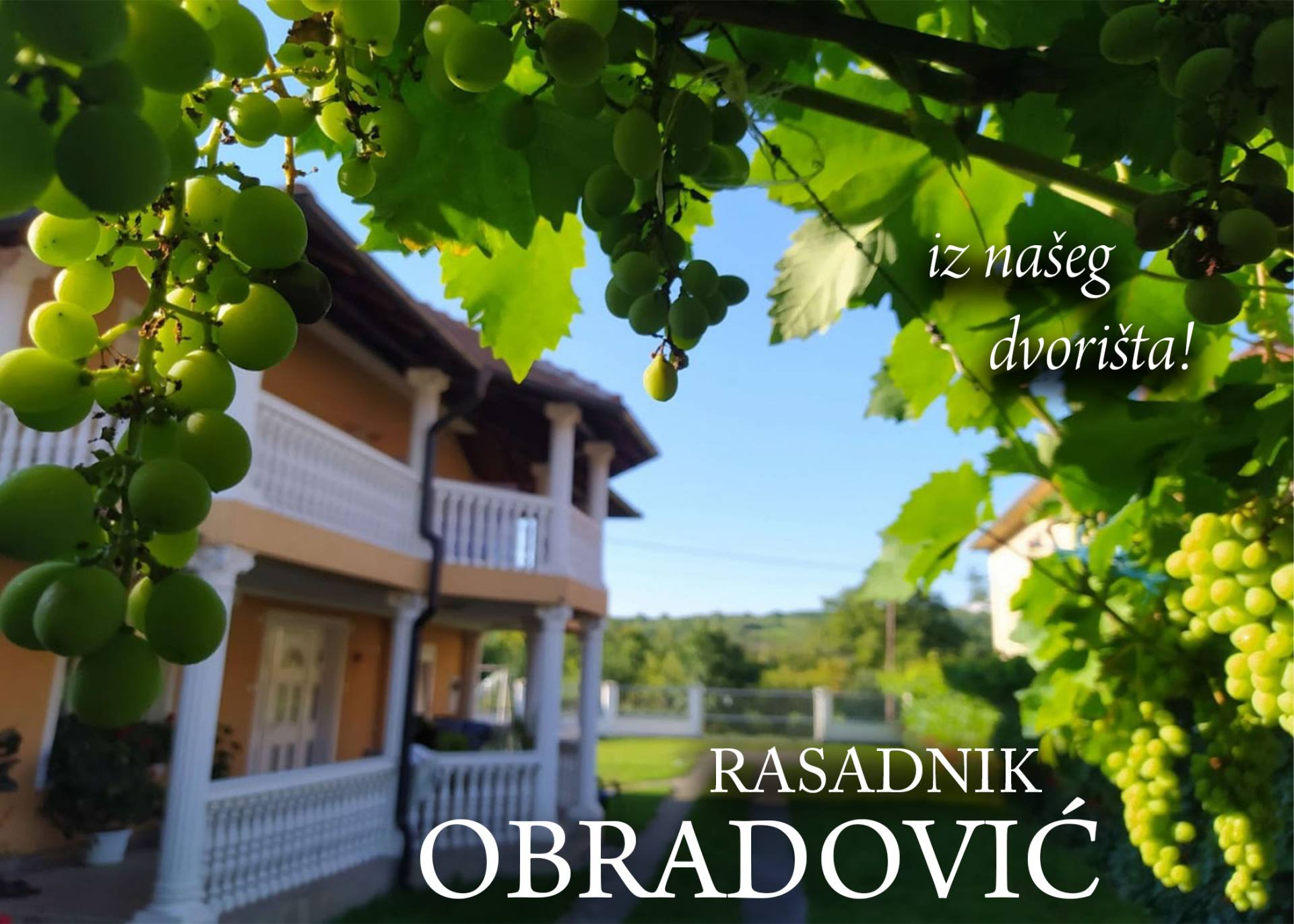 brza isporuka baner brza isporuka
