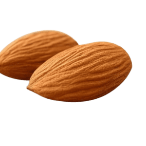 Sadnice badema