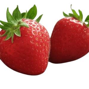 Sadnice jagode