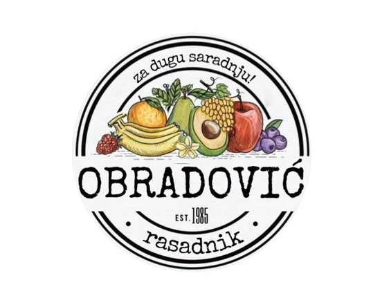 novi logo